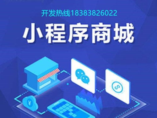 成都微信小程序商城开发,微信小程序商城如何搭建 定制费用多少